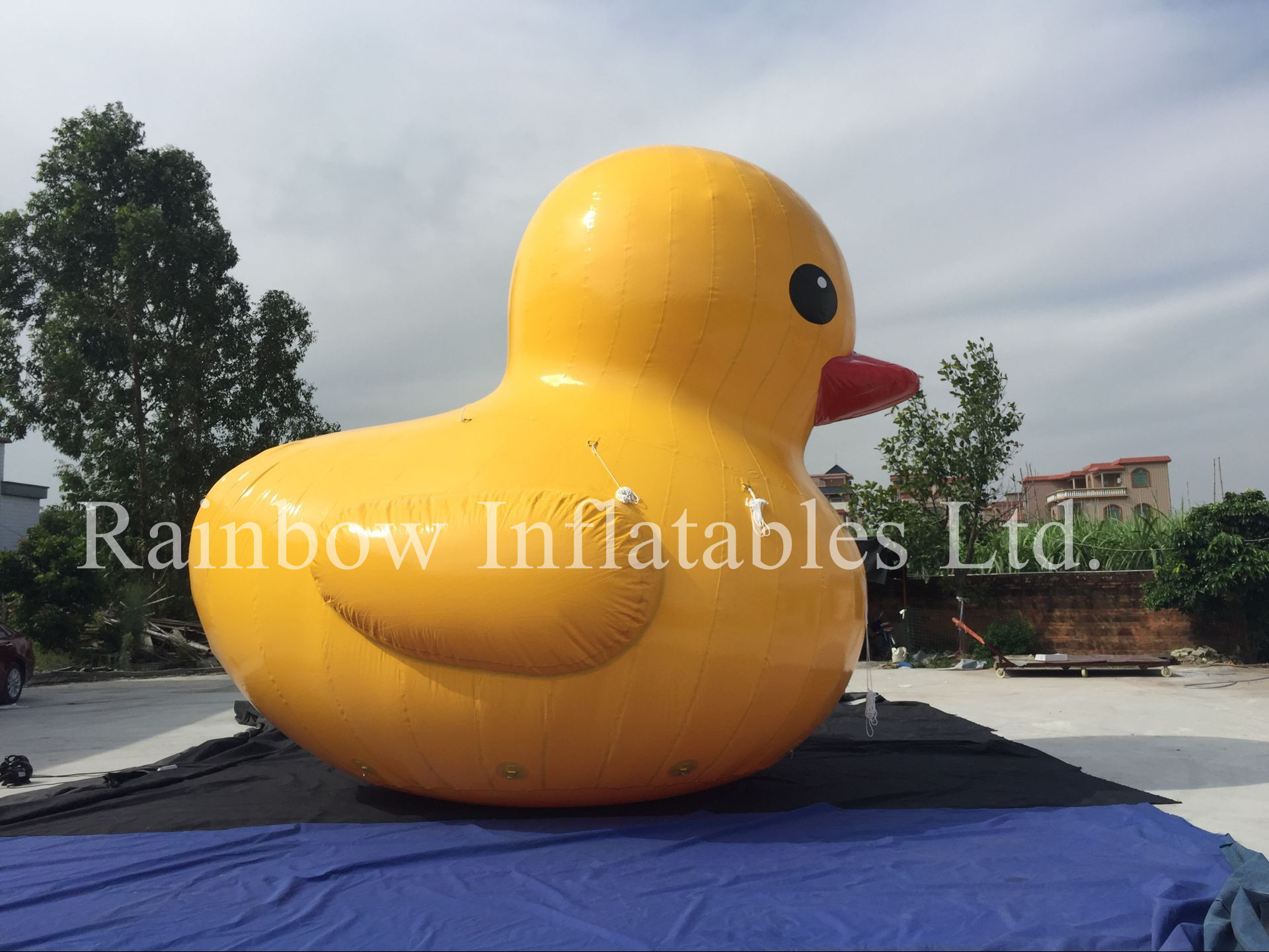 RB25009-1（5mH） Inflatable Giant cartoon duck/inflatable yellow duck/inflatable promotion duck