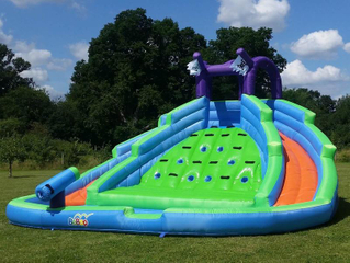 Party Rental Professiona Water Slide