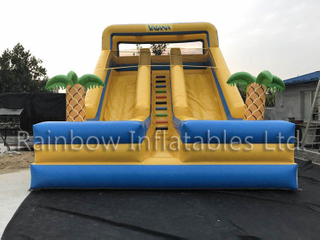 RB6090 (8x5x7m) Inflatable The theme of romance dry Slide 