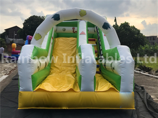 RB6105(5x2.5x3m) Inflatables Animal theme double slide