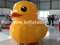 RB31052（ 2m ）Inflatables yellow duck 