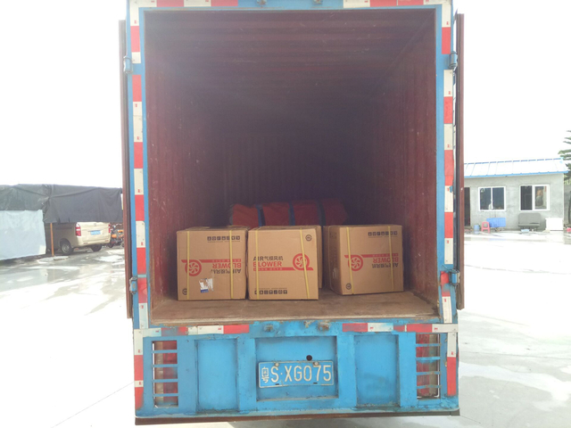 9th step shipment (11)