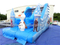 RB08007(5.4x3.5x4m) Inflatable Popular Frozen Theme Water Slide For Fun 