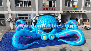 RB22127 Inflatable Octopus Decoration with Earphones
