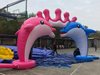 Inflatable dolphin cartoon
