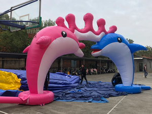 Inflatable dolphin cartoon