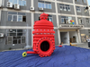 RB22157 Inflatable Bottle