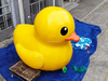 RB25009 5mH Inflatable yellow duck