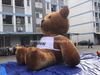 Large Flocked Inflatable Brown Bear with Logo Print - Soft Plush Cartoon Animal Balloon for Advertising and Party Decor