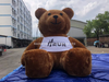 Large Flocked Inflatable Brown Bear with Logo Print - Soft Plush Cartoon Animal Balloon for Advertising and Party Decor