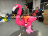 Inflatable Walking flamingo